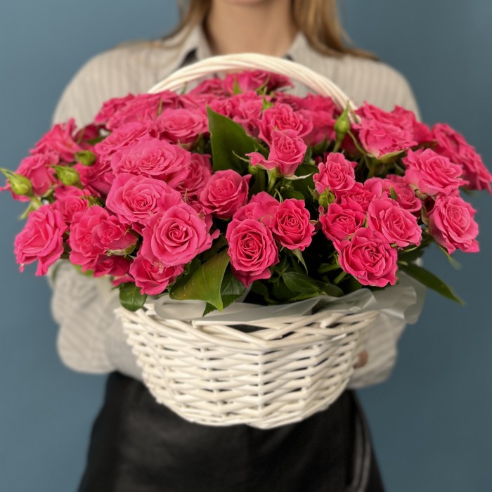 25 кустовых малиновых роз Глория в корзине